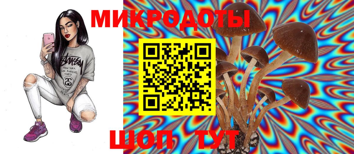 Галлюциногенные грибы ЛСД Борзя