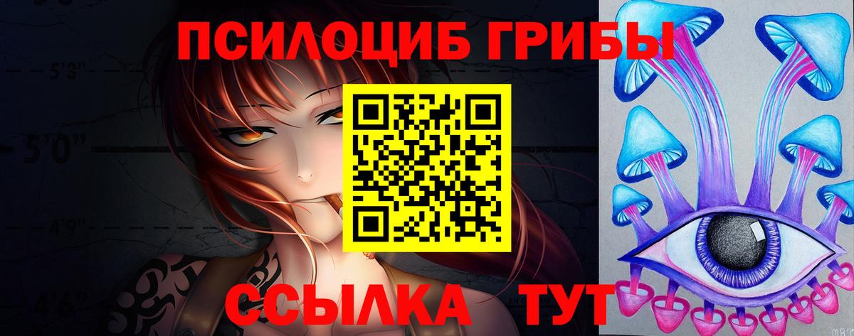где найти   Псилоцибиновые грибы Psilocybe  Вход с VPN  Борзя 